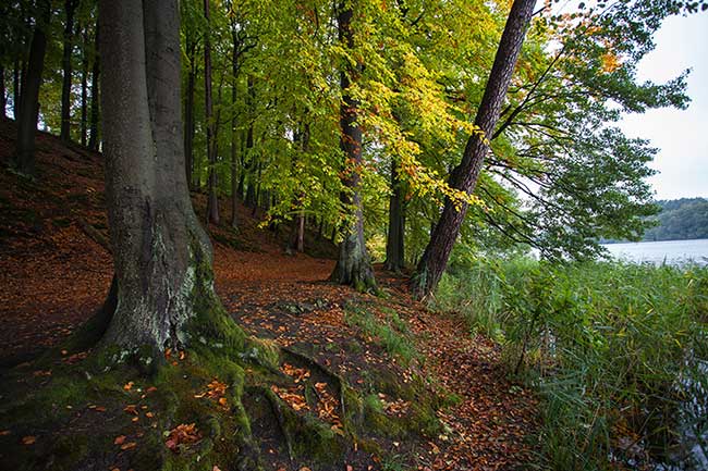 Landschaft See